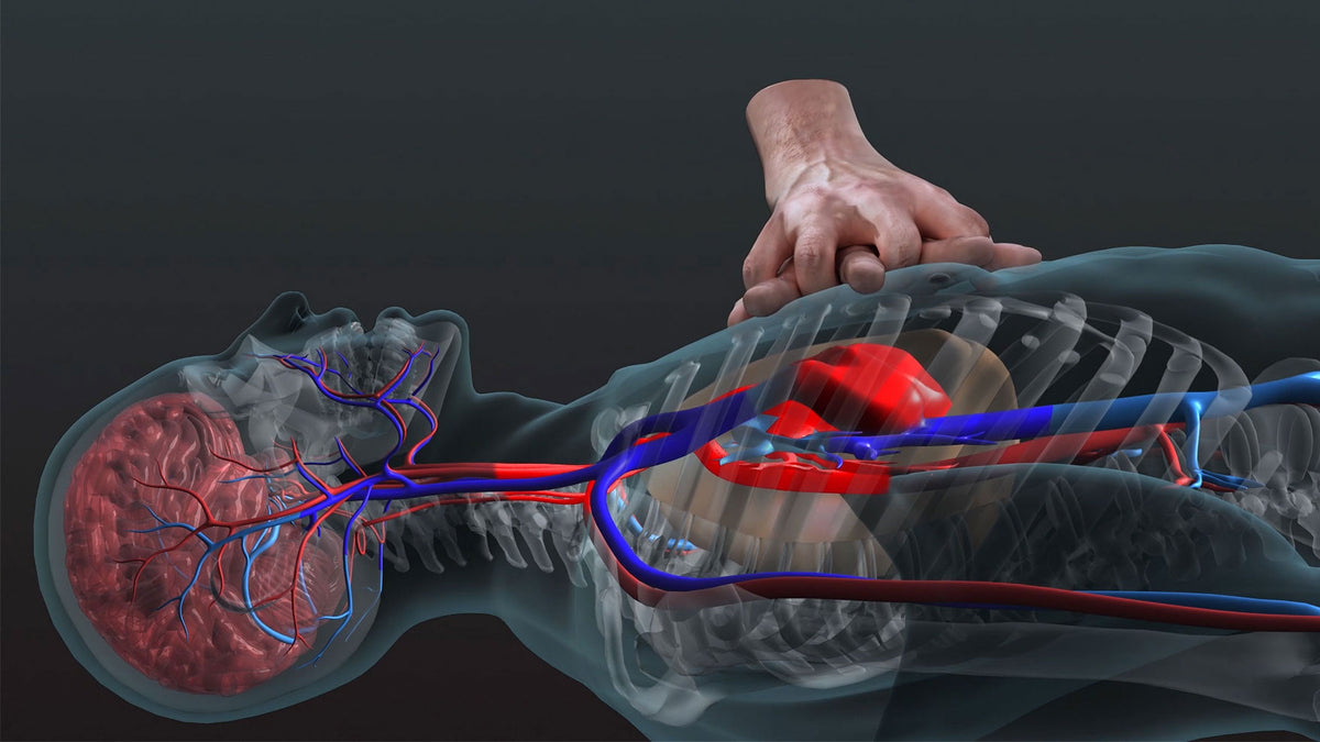 3D Modelling Interactive Training Scenarios - Action First Aid